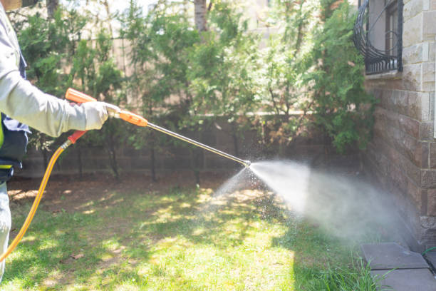  Burt, MI Pest control Pros